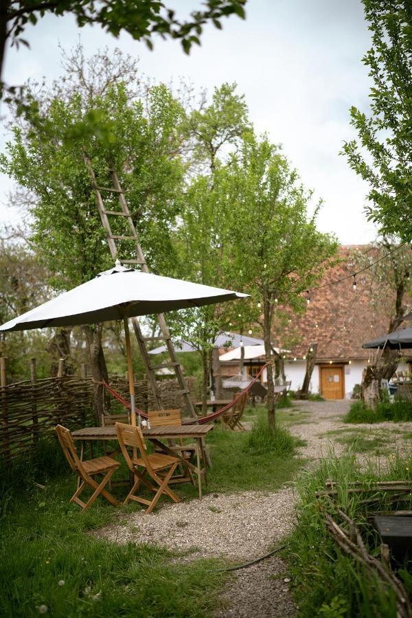 Viscri 32 - White Barn And Blue House Ξενοδοχείο Εξωτερικό φωτογραφία