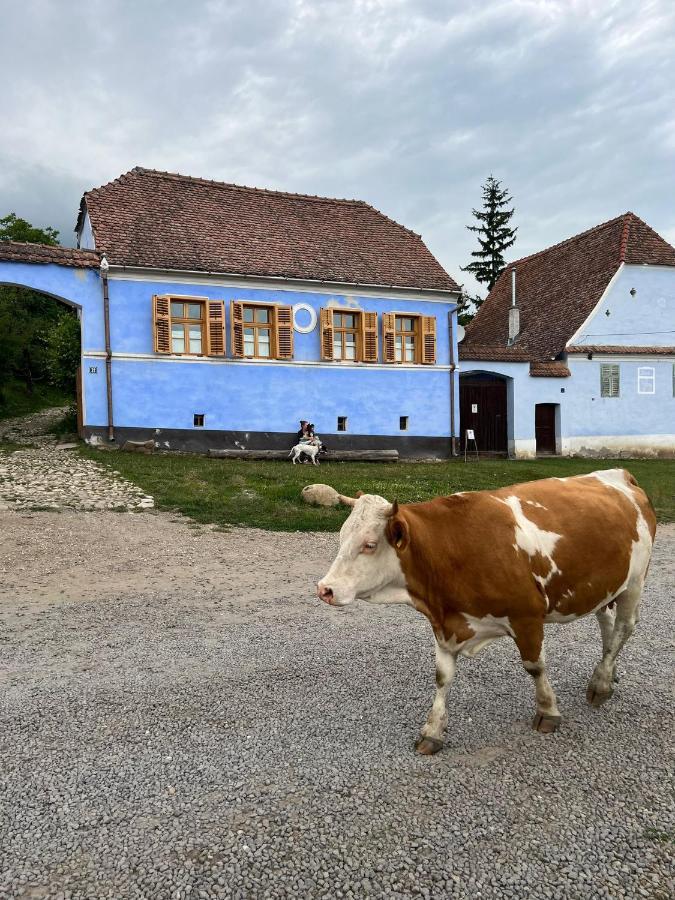 Viscri 32 - White Barn And Blue House Ξενοδοχείο Εξωτερικό φωτογραφία
